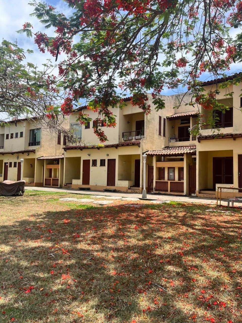 Apartment Em Ilha De